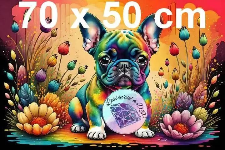 Art Thérapie - Toile Diamond Painting Jeune Bouledogue Coloré - Broderie à Diamant - Dimension de la toile: 70 x 50 cm