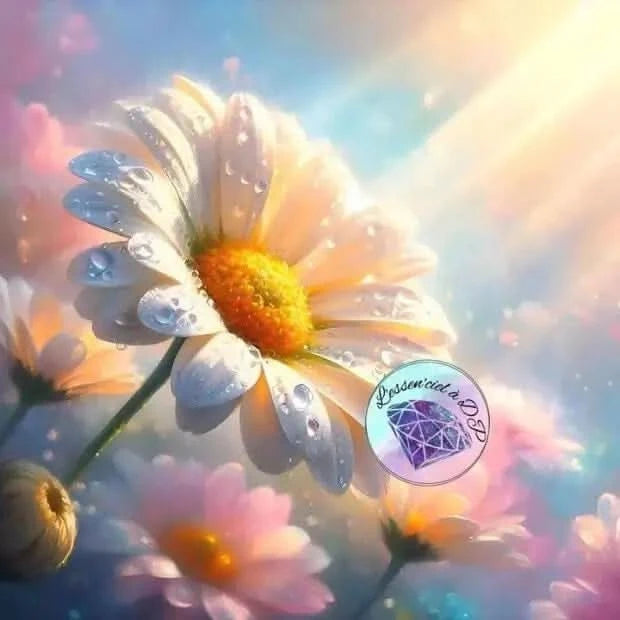 Art Thérapie - Toile Diamond Painting Marguerite Lumineuse - Broderie à Diamant - Dimension de la toile: 60 x 60 cm