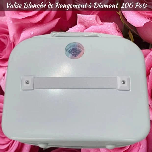 Valise de Rangement Diamant 100 Pots Couleur: Blanc Silk - Art Thérapie - Diamond Painting - Broderie à Diamant