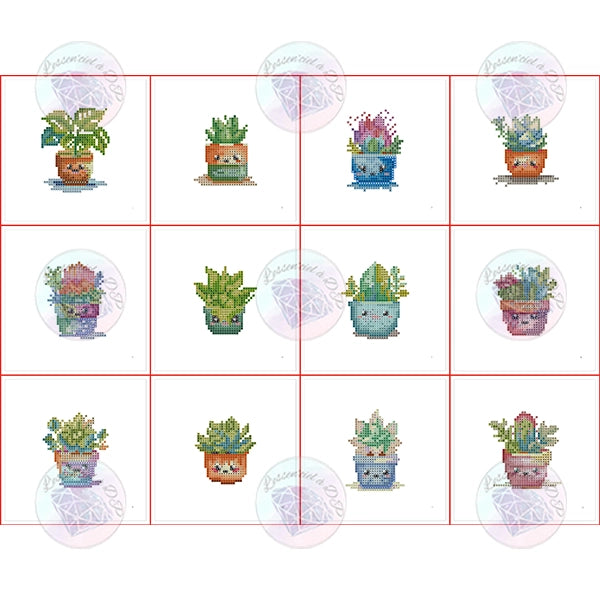 Discovery Set – Kawaii Plants