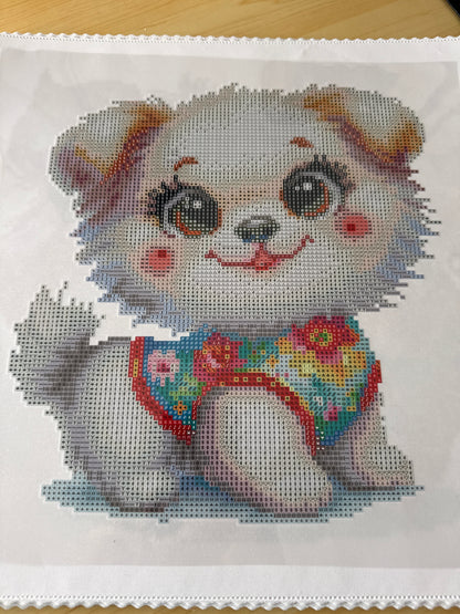 Medium Kit Signes du Zodiaque Chinois