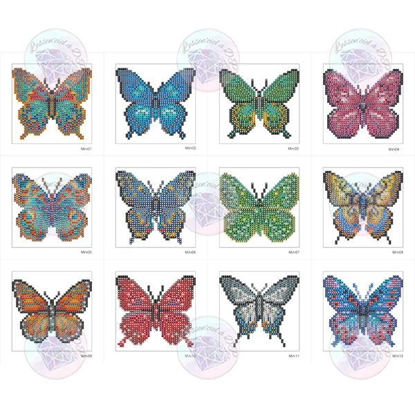 Discovery Set – Colorful Butterflies