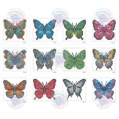 Discovery Set – Colorful Butterflies